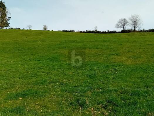 Grundstück zum Kauf 90.000 € 2.000 m² Grundstück Burbach 54597