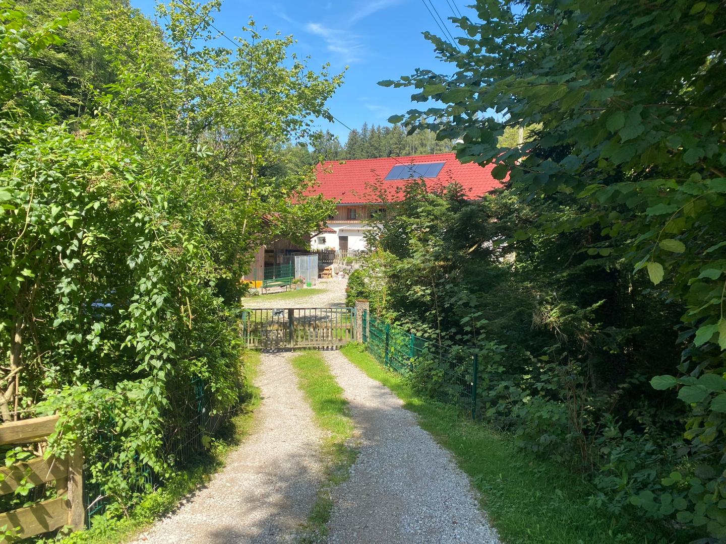 Bauernhaus zum Kauf 1.200.000 € 9 Zimmer 395 m²<br/>Wohnfläche 6.628 m²<br/>Grundstück Pettenbach 4643