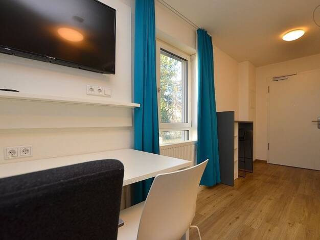 Studio zur Miete auf Zeit 619 € 1 Zimmer 21 m² frei ab 01.08.2026 Innenstadt Aschaffenburg 63739