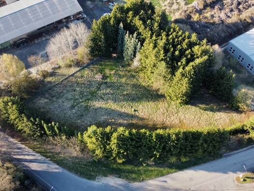 Gewerbegrundstück zum Kauf 1.363.000 € 4.700 m² Grundstück Erbach 89155