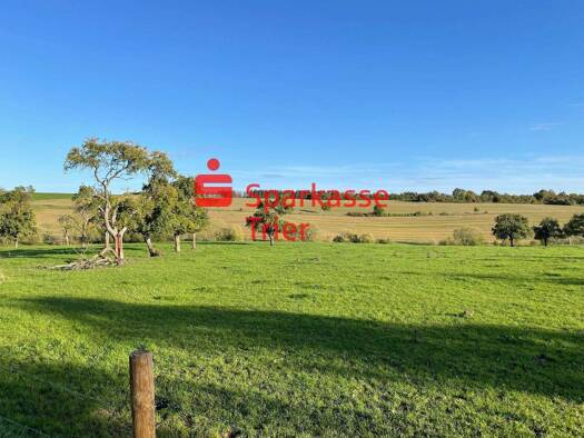 Grundstück zum Kauf provisionsfrei 80.280 € 446 m² Grundstück Newel 54309