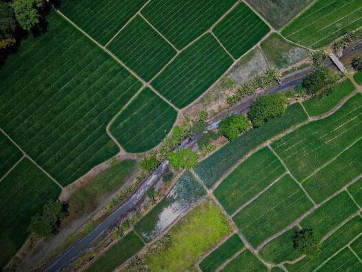 Grundstück zum Kauf 599.000 € 37.469 m² Grundstück Niemberg Landsberg 06188