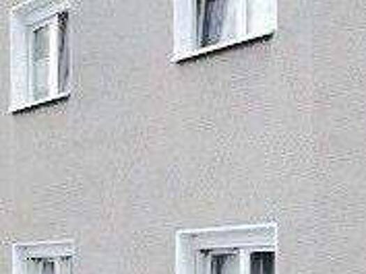 Mehrfamilienhaus zum Kauf 145.000 € 9 Zimmer 192,8 m² 120 m² Grundstück Meerane 08393