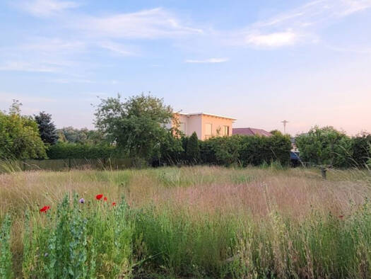 Grundstück zum Kauf 89.900 € 641 m² Grundstück Hohen Viecheln 23996