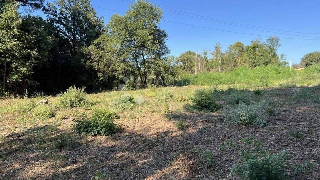 Land-/Forstwirtschaft zum Kauf 59.150 € Stari Medulin