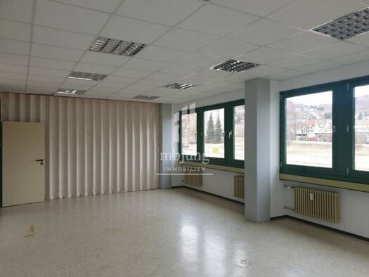 Bürofläche zur Miete 240 € 48 m² Bürofläche Ebingen Albstadt 72458