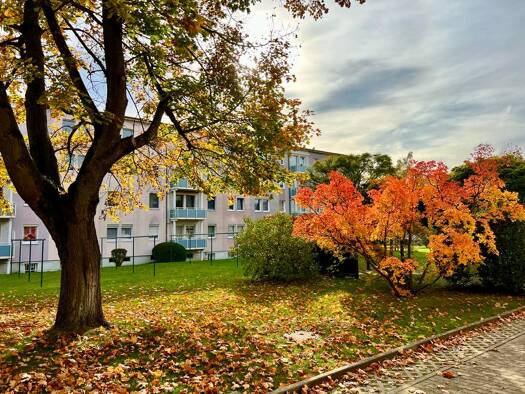 Wohnung zur Miete 247 € 2 Zimmer 41,1 m² 2. Geschoss Gutenbergstraße 47 Weißwasser 02943