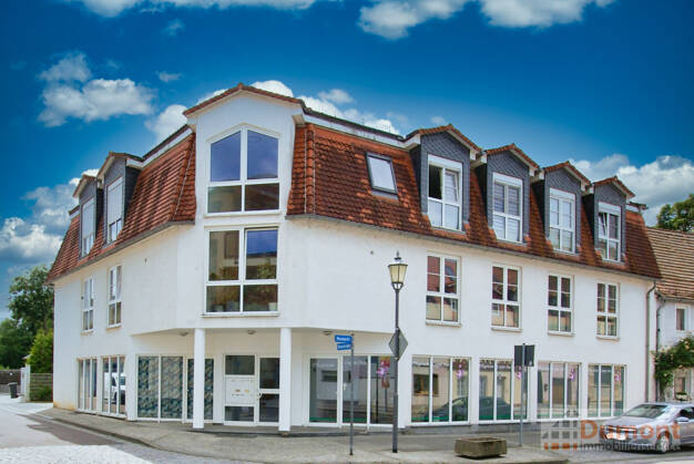 Mehrfamilienhaus zum Kauf 735.000 € 376 m² 435 m² Grundstück Merseburg Merseburg 06217