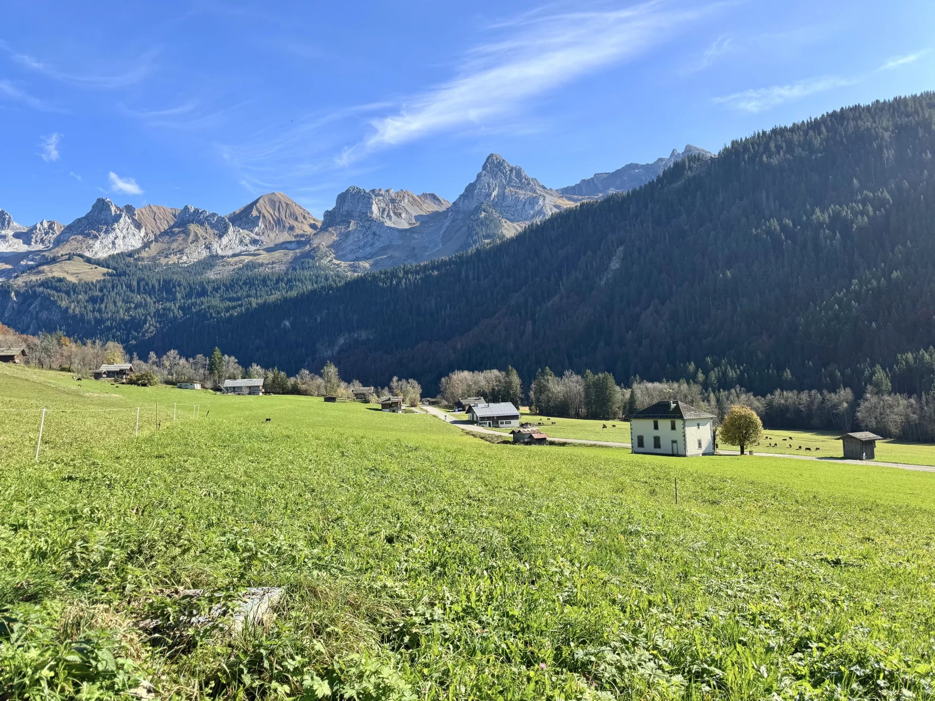 Immobilie zum Kauf 3.790.000 € 8 Zimmer 1.773 m²<br/>Grundstück LE GRAND BORNAND 74450