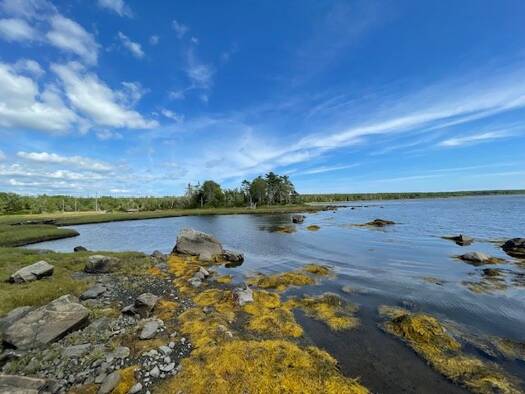 Grundstück zum Kauf 8.012 m² Grundstück East Sable River, Shelburne, Nova Scotia BOT 1V0