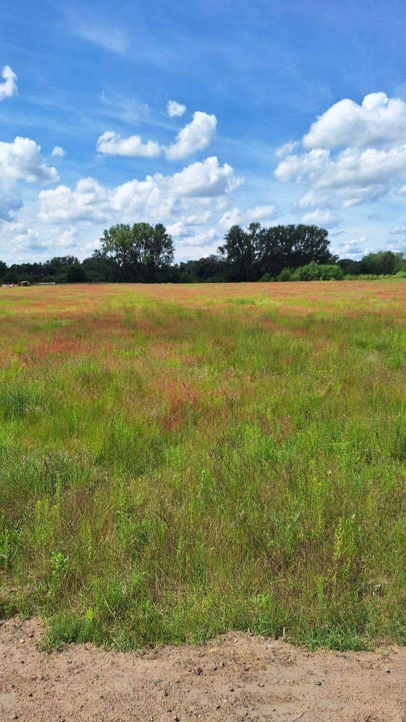 Landwirtschaftliche Fläche zum Kauf