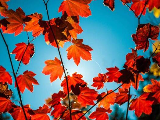 Wohnung zum Kauf 1.450.000 € 3 Zimmer 114 m² EG Winterhude Hamburg 22301