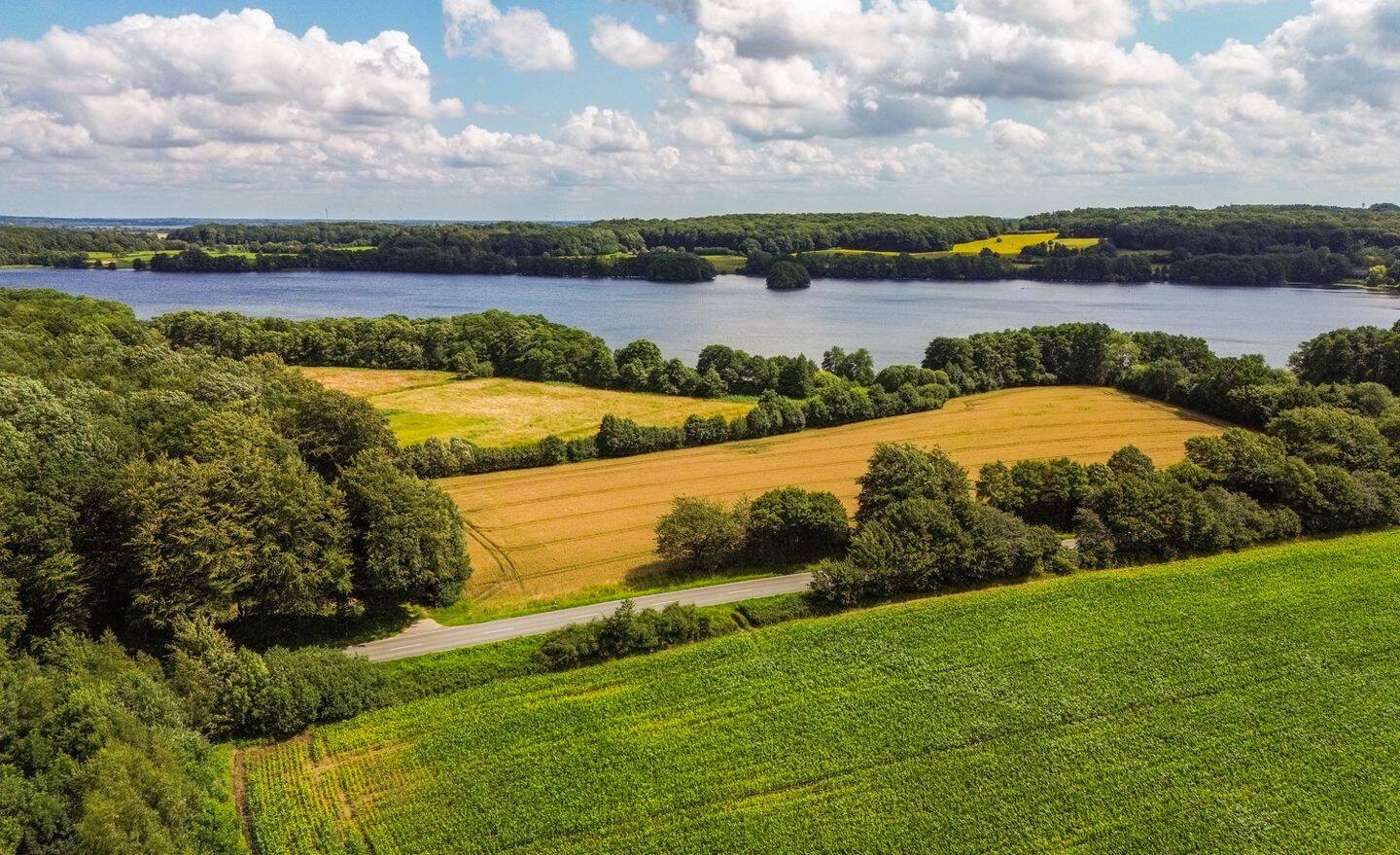Immobilie in Ahlefeld-Bistensee - Drei Häuser, ein Grundstück - attraktive Anlagemöglichkeit oder Selbstnutzung! - Bild 3