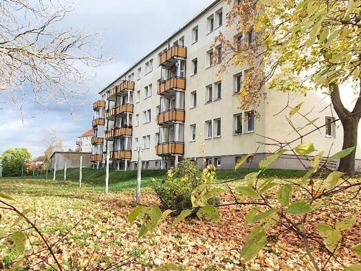 Wohnung zur Miete 410 € 3 Zimmer 59,1 m² EG frei ab sofort Albert-Schweitzer-Ring 7 Wilkau-Haßlau Wilkau-Haßlau 08112