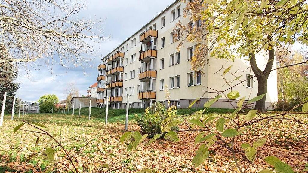 Wohnung zur Miete 410 € 3 Zimmer 59,1 m² EG frei ab sofort Albert-Schweitzer-Ring 7 Wilkau-Haßlau 08112