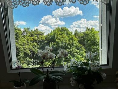 Wohnung zum Kauf 59.000 € 3 Zimmer 69 m² 2. Geschoss Hutholz Chemnitz 09123