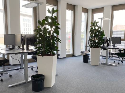 Bürofläche zur Miete provisionsfrei 2.300 € 78 m² Bürofläche Konrad-Zuse-Straße Flugfeld Böblingen 71034