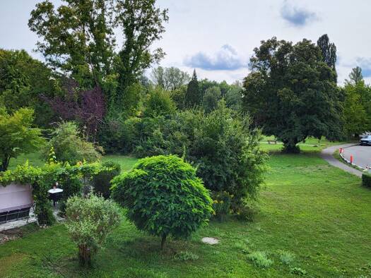 Wohnung zur Miete 350 € 1 Zimmer 20 m² 1. Geschoss frei ab sofort Strandbadstraße 86 Radolfzell Radolfzell am Bodensee 78315