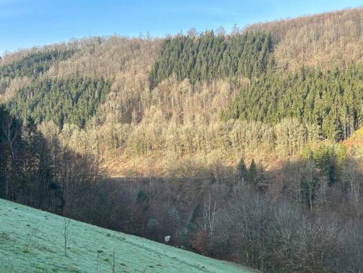 Grundstück zum Kauf 38.500 € 320 m² Grundstück Friedrichsdorf Eberbach 69412