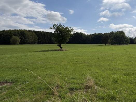 Land-/Forstwirtschaft zum Kauf 24.000 € 4.117 m² Grundstück Kircheib 57635