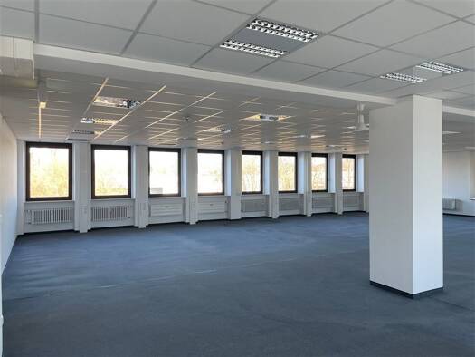 Büro zur Miete 1.288 m² Bürofläche teilbar ab 187 m² Neustadt 96468
