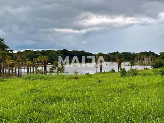 Landwirtschaftliche Fläche zum Kauf 69.675.350 € 20.500.000 m² Grundstück Farm Goiás - 2 050 ha Rio Verde 78580-000