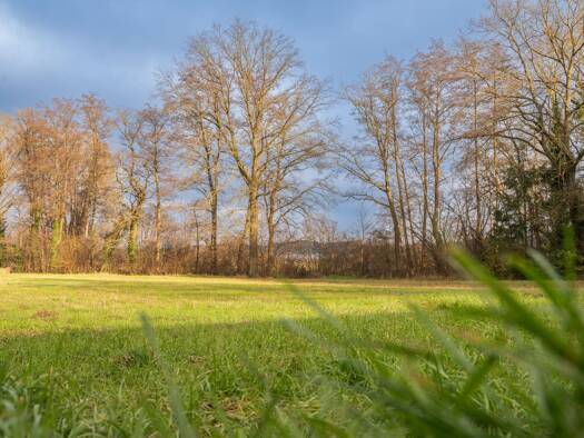 Grundstück zum Kauf 959.000 € 1.201 m² Grundstück Igelsdorf Baiersdorf 91083