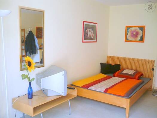 Studio zur Miete auf Zeit 595 € 1 Zimmer 27 m² frei ab 01.05.2026 Gärten h d Veste Nürnberg 90408