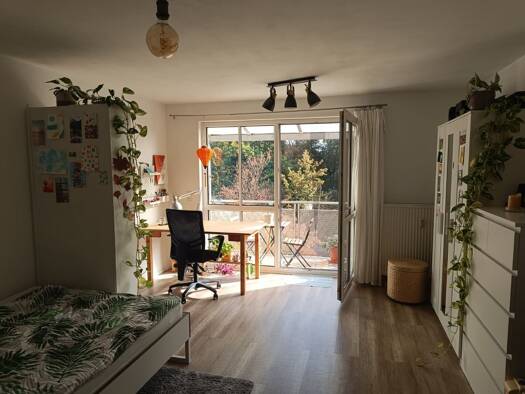 Wohnung zur Miete 490 € 1 Zimmer 29,4 m² Geschoss 2/3 frei ab 01.11.2026 Galgenberg Regensburg 93053