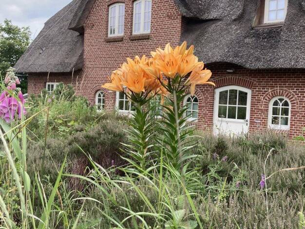 Doppelhaushälfte zum Kauf provisionsfrei 1.745.000 € 5 Zimmer 125 m² 500 m² Grundstück Wenningstedt Wenningstedt-Braderup (Sylt) 25996