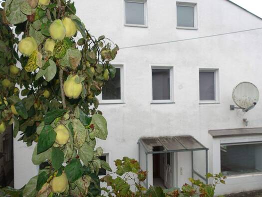 Mehrfamilienhaus zum Kauf 349.000 € 8 Zimmer 153 m² 599 m² Grundstück Buchbach 84428