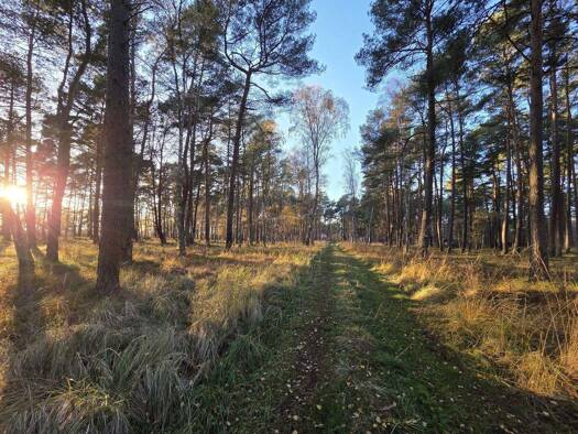 Grundstück zum Kauf 90.000 € 1.248 m² Grundstück Daglezji Dziwnów 72-420