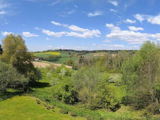 Wohnung zum Kauf 229.000 € 2 Zimmer 65 m² 2. Geschoss Griesbach Bad Griesbach im Rottal 94086