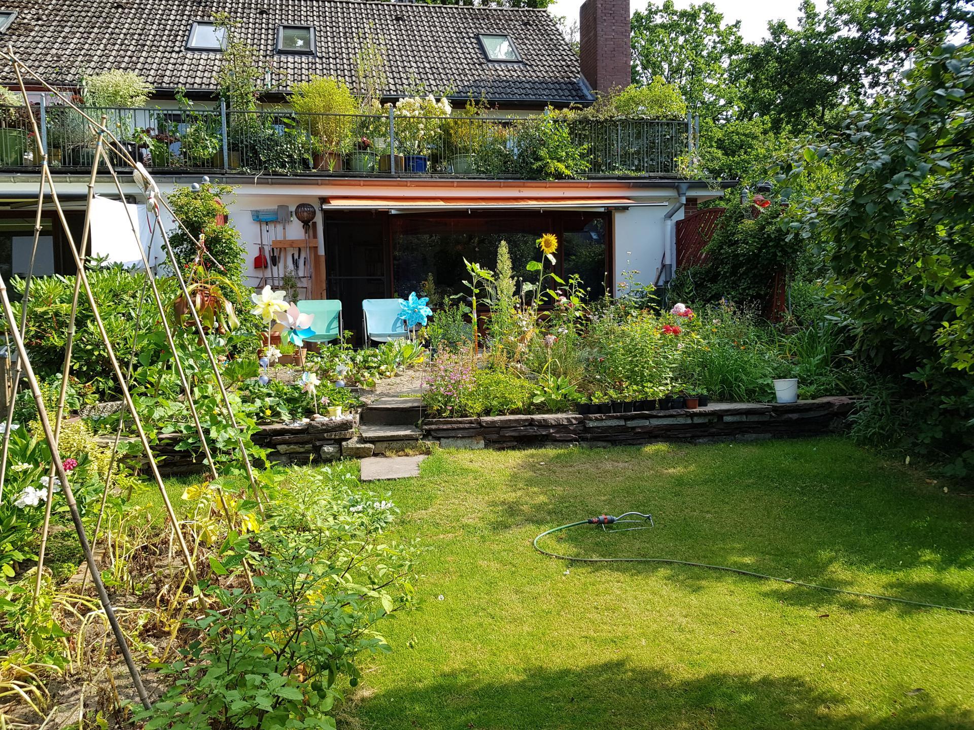 Terrassenwohnung zur Miete 825 € 2 Zimmer 75 m²<br/>Wohnfläche EG<br/>Geschoss 01.03.2025<br/>Verfügbarkeit Rissen Hamburg 22559