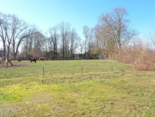 Grundstück zum Kauf 67.000 € 1.000 m² Grundstück Cammer Bückeburg 31675