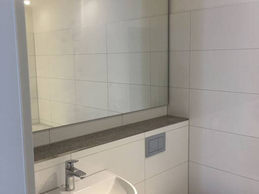 Wohnung zur Miete 790 € 3 Zimmer 60 m² 1. Geschoss Kastanienallee 12 Braunschweig Braunschweig 38102
