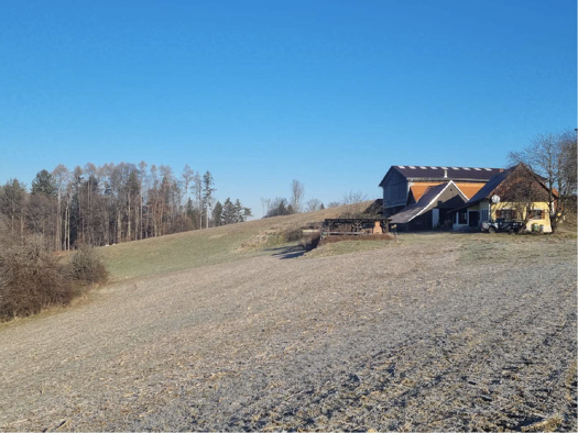 Land-/Forstwirtschaft zum Kauf 1.100.000 € Kirchbach in Steiermark 8082