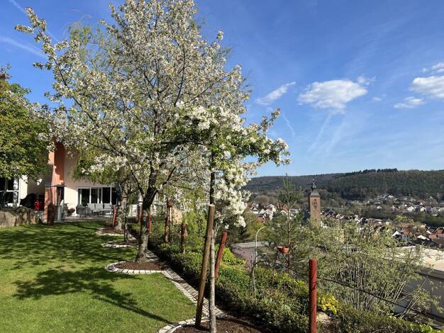 Villa zum Kauf provisionsfrei 1.790.000 € 11 Zimmer 350 m² 1.664 m² Grundstück Rodalben 66976