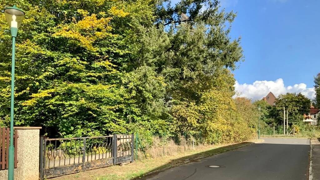 Grundstück zum Kauf 299.000 € 1.044 m² Grundstück Borgsdorf 16556