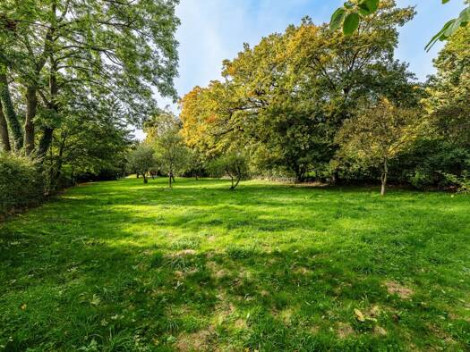 Villa zum Kauf 5 Zimmer 163 m² 3.718 m² Grundstück Wien 1190