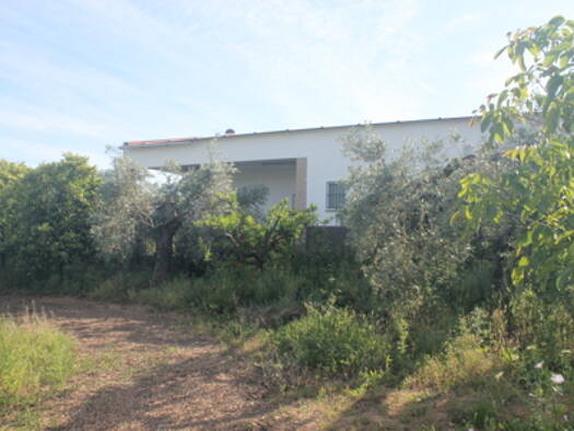 Bauernhaus zum Kauf provisionsfrei 133.000 € 6 Zimmer 150 m² 5.800 m² Grundstück Bollullos par del Condado 21710