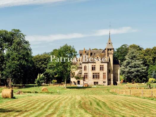 Schloss zum Kauf 749.000 € 16 Zimmer 480 m² 52.384 m² Grundstück Mayenne 53100