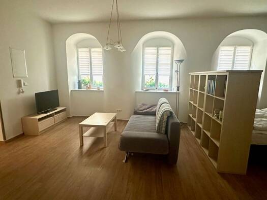 Wohnung zur Miete 470 € 1 Zimmer 47 m² Geschoss EG/1 frei ab sofort Weingasse 17 Freiberg Freiberg, Sachs 09599