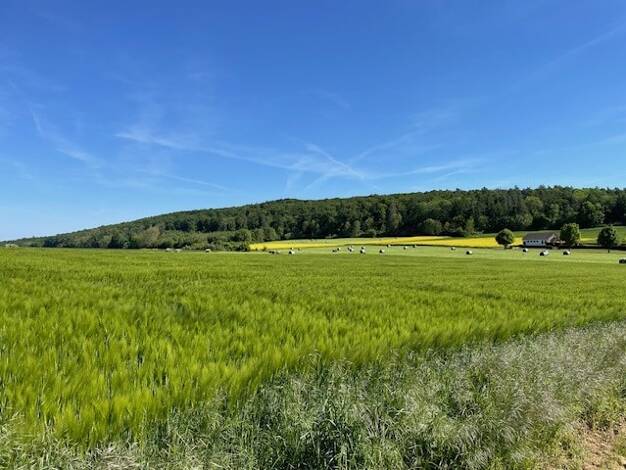 Grundstück zum Kauf 40.000 € 1.428 m² Grundstück Ersen Liebenau 34396