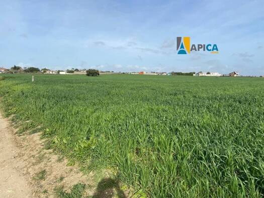Acker-/Waldstück zum Kauf 53.700 € Chiclana de la Frontera 11130