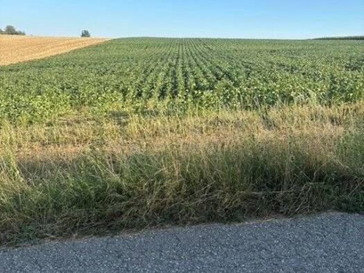 Land-/Forstwirtschaft zum Kauf 301.140 € 20.076 m² Grundstück Sieghartskirchen 3451