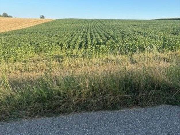 Land-/Forstwirtschaft zum Kauf 301.140 € 20.076 m² Grundstück Sieghartskirchen 3451