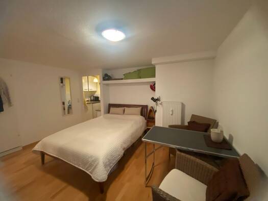 Wohnung zur Miete 280 € 1 Zimmer 20 m² Geschoss -1/2 frei ab 01.10.2026 Öhningen Öhningen 78337