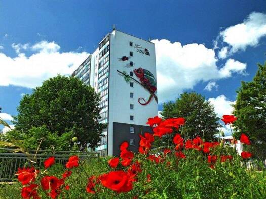 Wohnung zur Miete 243 € 1 Zimmer 32,4 m² 3. Geschoss frei ab 01.12.2025 Carl-Hagenbeck-Str. 23 Stendal 39576