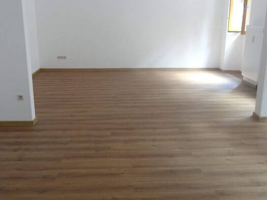 Wohnung zur Miete 550 € 2 Zimmer 53 m² Südstadt Fürth 90763